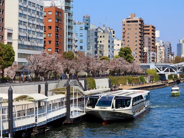 水上バスと桜のイメージ写真